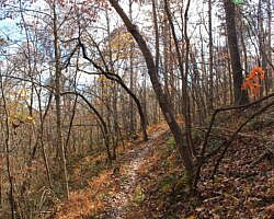 Hobbs: Hidden Diversity – War Eagle Valley Loop – 6 mi photo Hobbs: Hidden Diversity – War Eagle Valley Loop – 6 mi photo