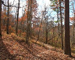 Hobbs: Hidden Diversity – War Eagle Valley Loop – 6 mi photo Hobbs: Hidden Diversity – War Eagle Valley Loop – 6 mi photo
