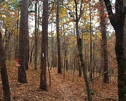 Hobbs: Hidden Diversity – War Eagle Valley Loop – 6 mi photo Hobbs: Hidden Diversity – War Eagle Valley Loop – 6 mi photo