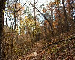Hobbs: Hidden Diversity – War Eagle Valley Loop – 6 mi photo Hobbs: Hidden Diversity – War Eagle Valley Loop – 6 mi photo