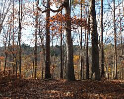 Hobbs: Hidden Diversity – War Eagle Valley Loop – 6 mi photo Hobbs: Hidden Diversity – War Eagle Valley Loop – 6 mi photo