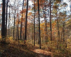 Hobbs: Hidden Diversity – War Eagle Valley Loop – 6 mi photo Hobbs: Hidden Diversity – War Eagle Valley Loop – 6 mi photo